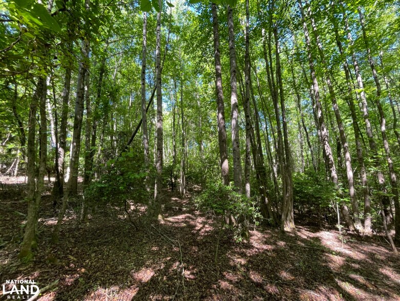 More Photos Of 0 Gibbs Road, Wellford Land For Sale