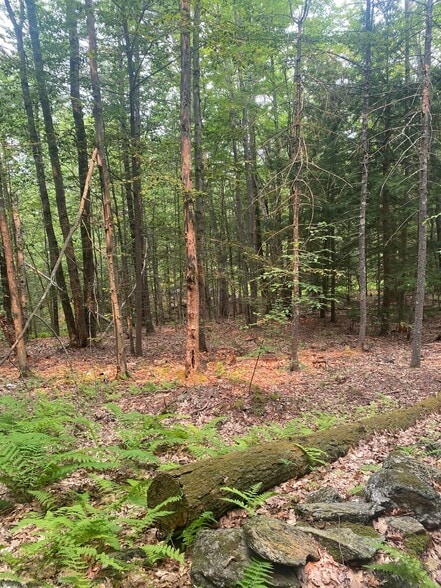 More Photos Of Daggett Hill (TM R16-3) Rd, Westmoreland Land For Sale