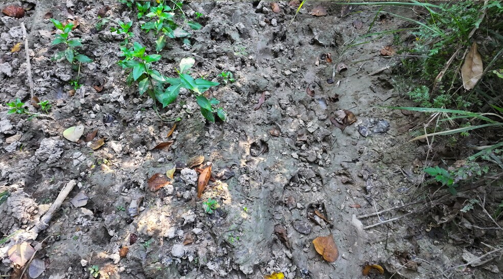 More Photos Of TBD CR 2041, Hull Land For Sale