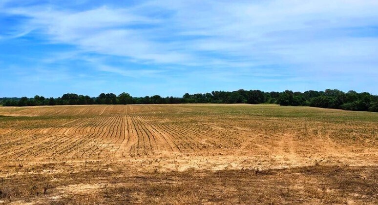 More Photos Of Shands Bottom Road, Senatobia Land For Sale