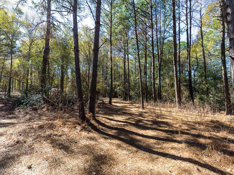 More Photos Of 11201 County Road 203, Plantersville Specialty For Sale