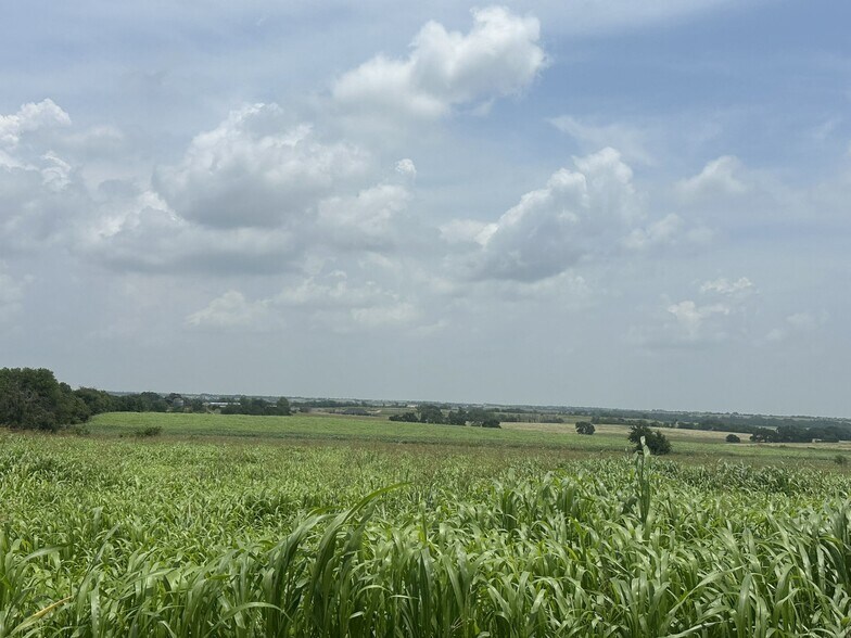 More Photos Of Farm to Market Road 935, Troy Land For Sale