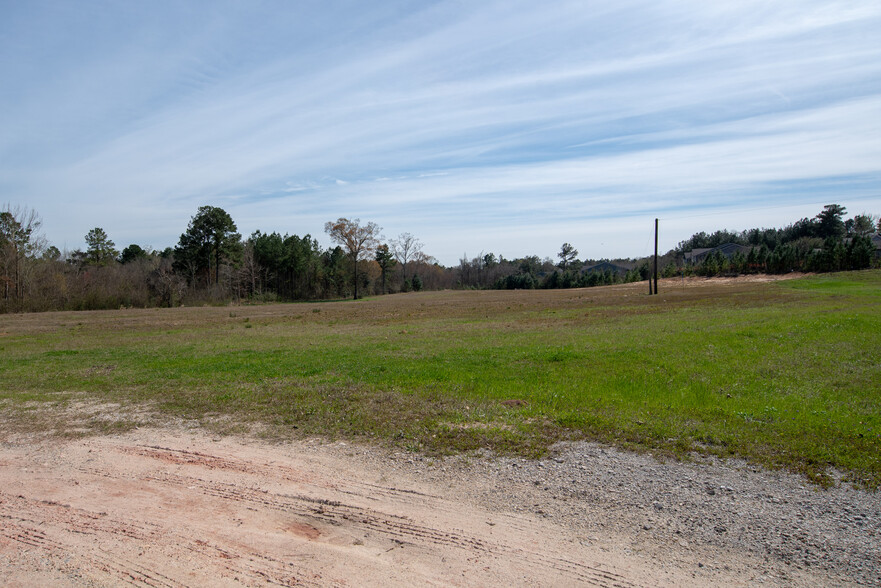 Primary Photo Of U. S. Highway 69S, Woodville Land For Sale