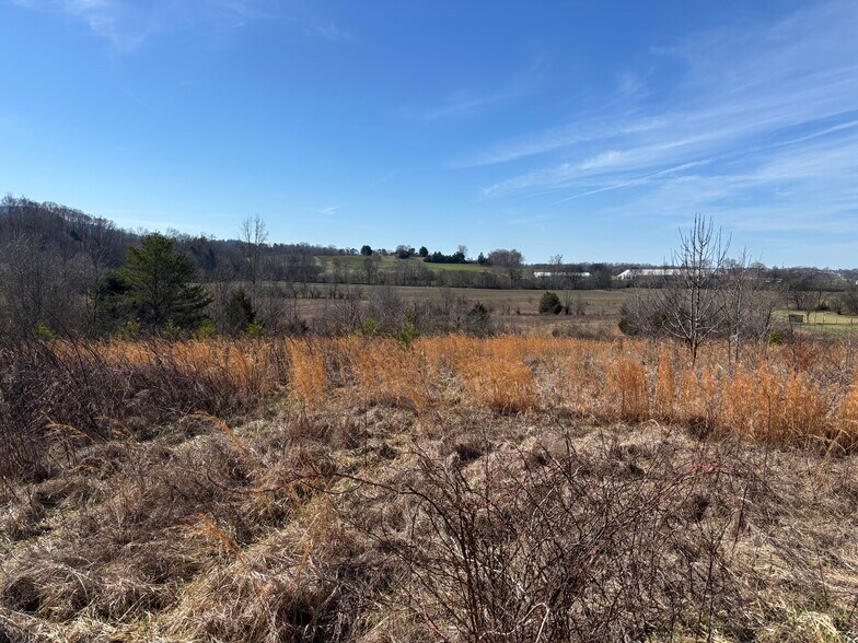 More Photos Of Country Lane, Walland Land For Sale