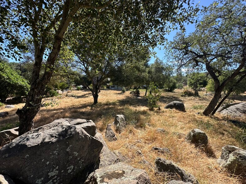 More Photos Of 1528 Olivewood Ln, Alpine Land For Sale