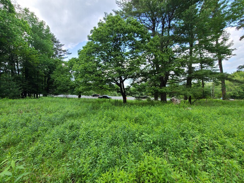 More Photos Of 1195 State Route 17B, Bethel Land For Sale
