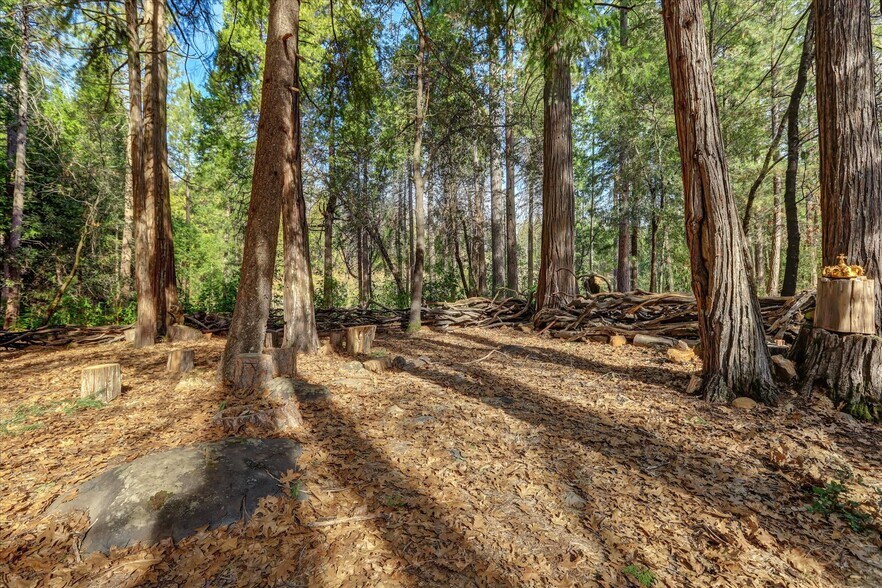 More Photos Of 14724 N Bloomfield Rd, Nevada City Flex For Sale