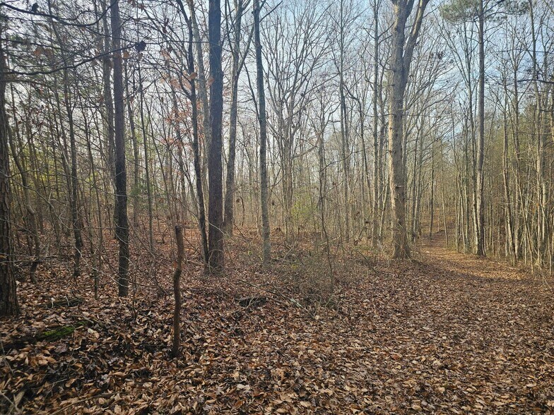 More Photos Of 762 Smith Mountain Rd, Dunlap Land For Sale