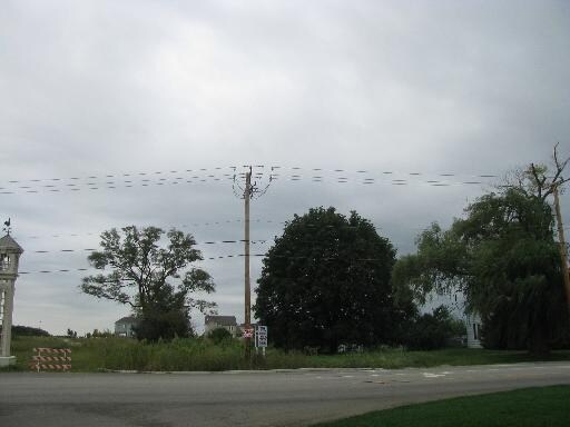 Primary Photo Of 3301 US-20, Elgin Land For Sale