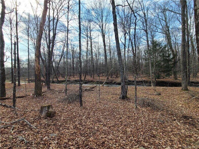 More Photos Of Rt. 52, White Sulphur Springs Land For Sale