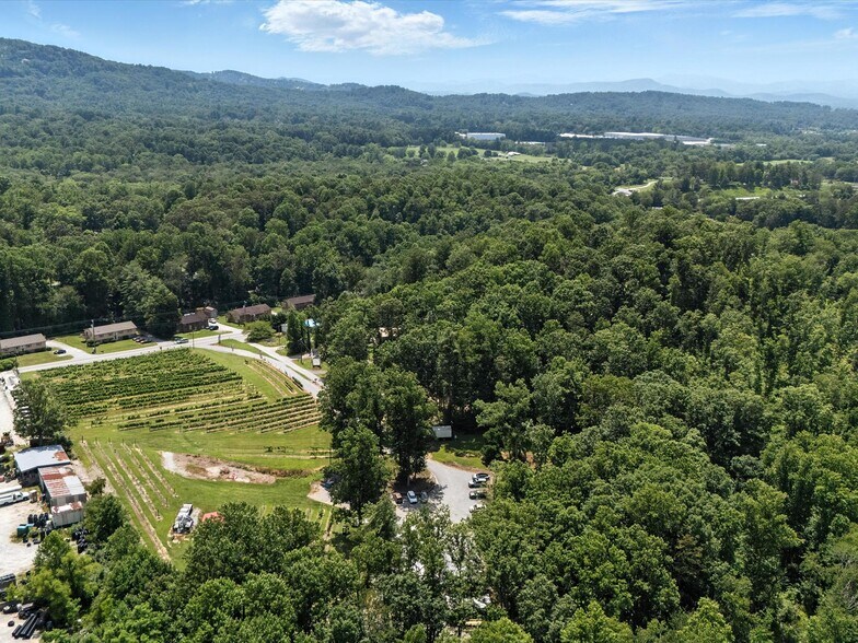 More Photos Of 124 Sandy Hill Ln, Hendersonville Winery Vineyard For Sale
