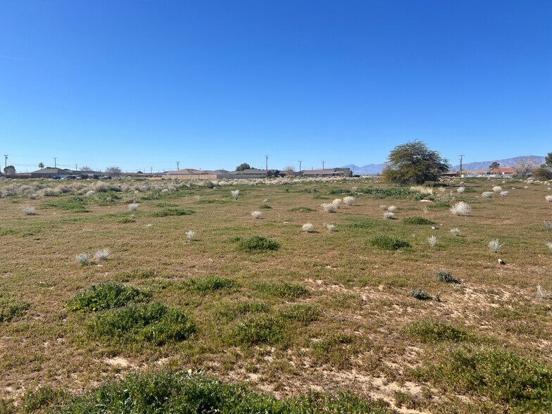 More Photos Of 123456 Medio and Oleander, California City Land For Sale