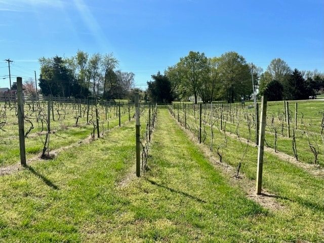 More Photos Of 3485 Chaneyville Rd, Owings Winery Vineyard For Sale