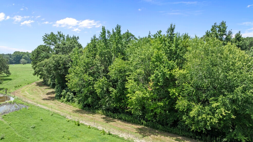 More Photos Of N Center St, Dudley Land For Sale