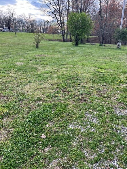 More Photos Of 1323 Bee Rock Rd, Monterey Land For Sale