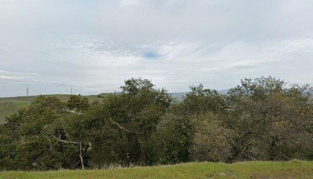 Primary Photo Of 22605 Country View Ln, San Jose Land For Sale
