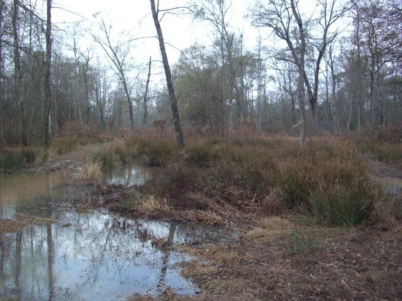 More Photos Of 7471 Hwy 155, Saline Land For Sale