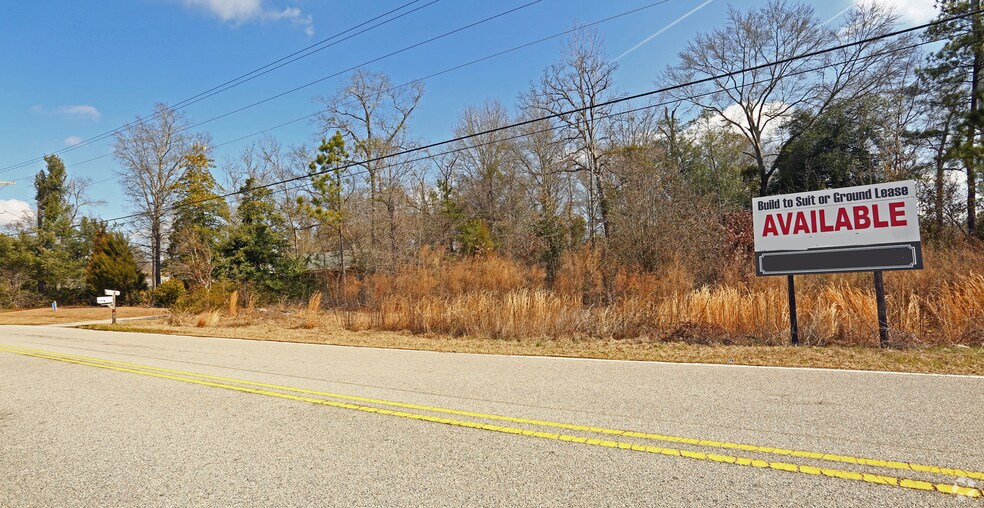 More Photos Of 1064 Chris Cir, West Columbia Land For Sale