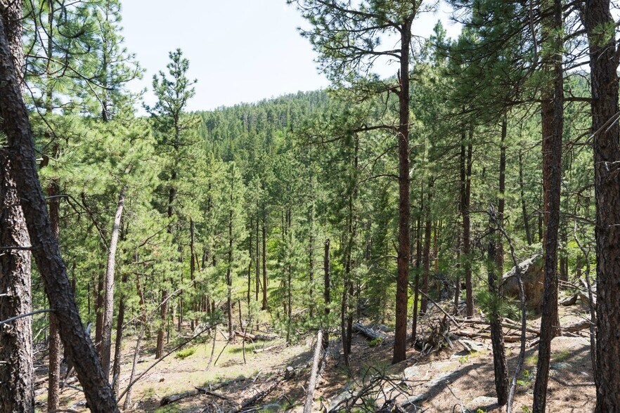 More Photos Of 1201A Old Hill City Rd, Keystone Land For Sale