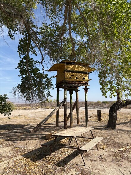 More Photos Of 160 +/- Acres Juanita Springs Ranch, Bunkerville Land For Sale