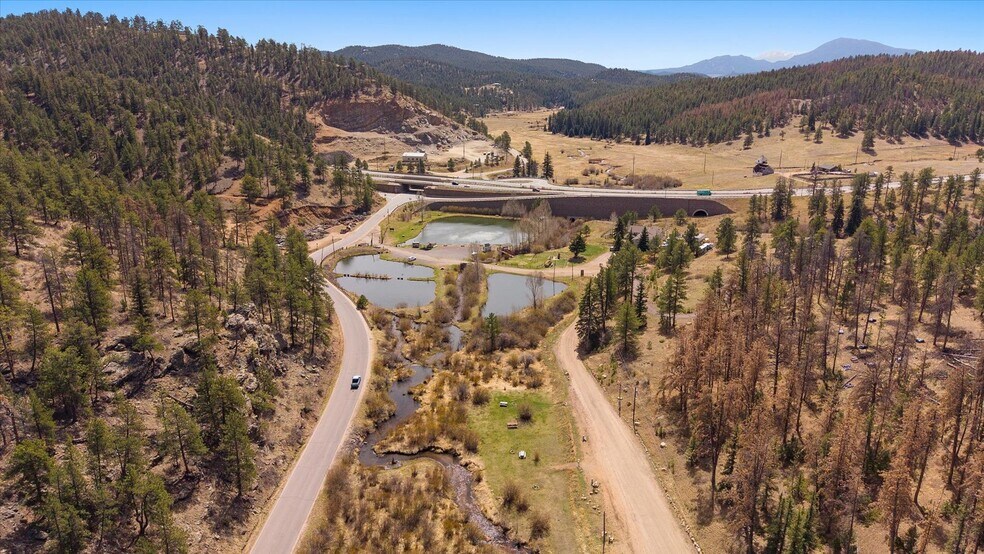 More Photos Of , Pine Land For Sale