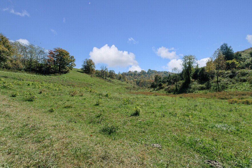 More Photos Of 000 Lee Hwy, Troutville Land For Sale