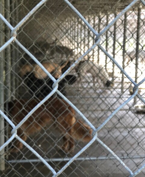 More Photos Of 22129 Carson Dr, Land O' Lakes Specialty For Sale