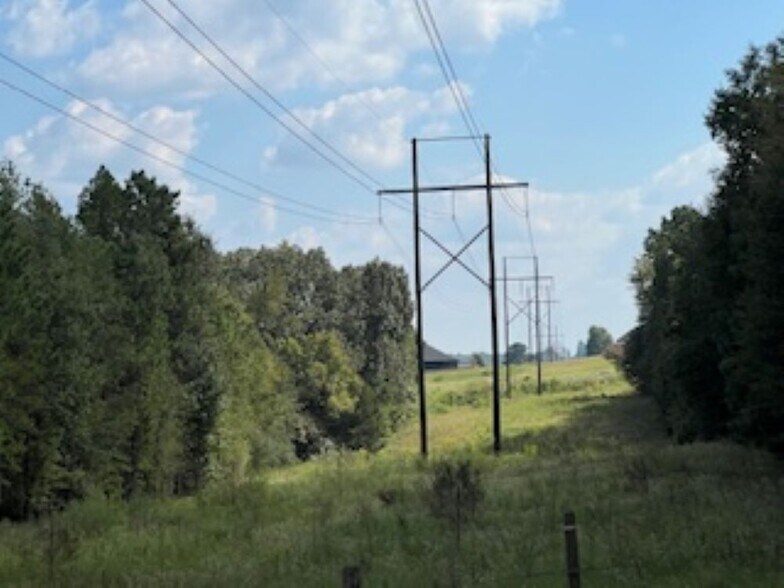 More Photos Of 21805 U.S. HWY 69S hwy, Bullard Land For Sale