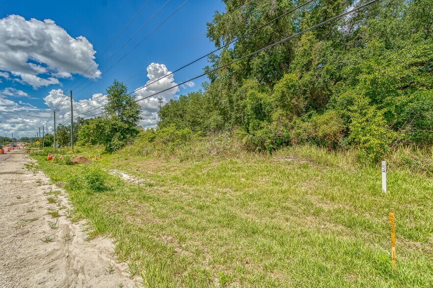 More Photos Of Turkey Creek Rd @ Reece Rd, Plant City Land For Sale