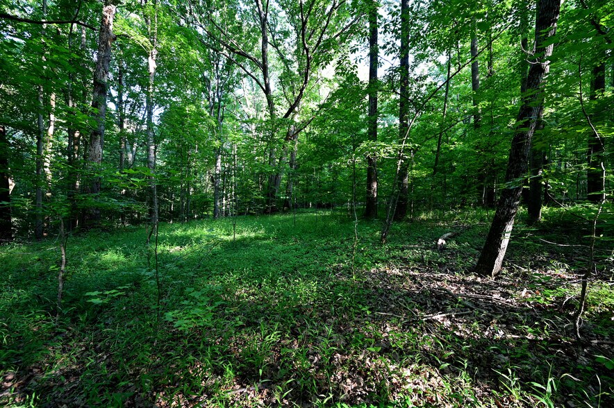 More Photos Of Richard Allen St, Aquasco Land For Sale