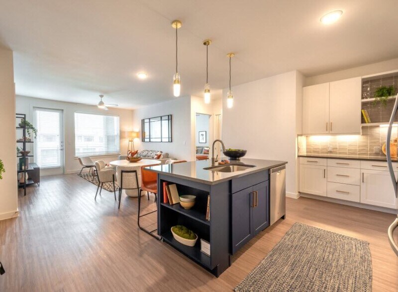 More Photos Of 411 W Commerce St, Dallas Apartments For Lease