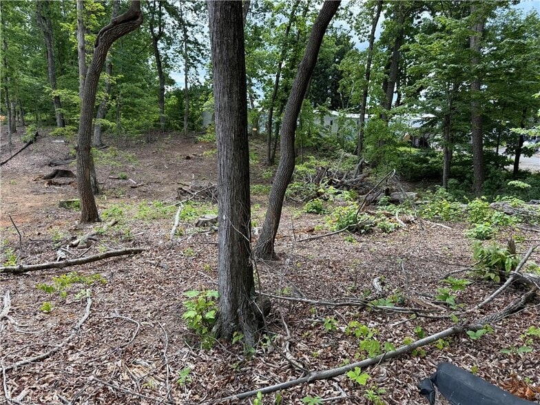 More Photos Of 614 Kirby Rd, King Land For Sale