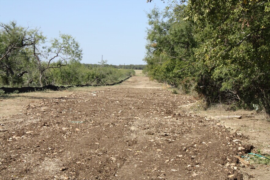 More Photos Of 250 County Road 216, Jarrell Land For Sale