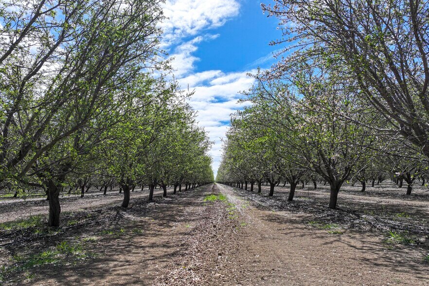More Photos Of Cerini Avenue, Cantua Creek Land For Sale