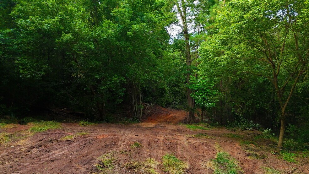 More Photos Of 00 221 Highway South Hwy, Laurens Land For Sale