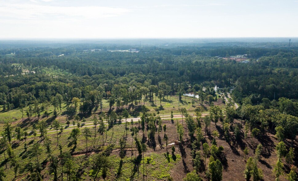 More Photos Of 301 Brighton Blvd, Chapin Land For Sale