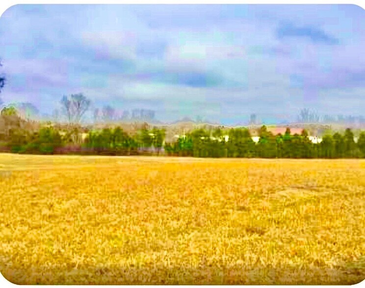 Primary Photo Of 0 N Old Mount Juliet Rd, Mount Juliet Land For Sale