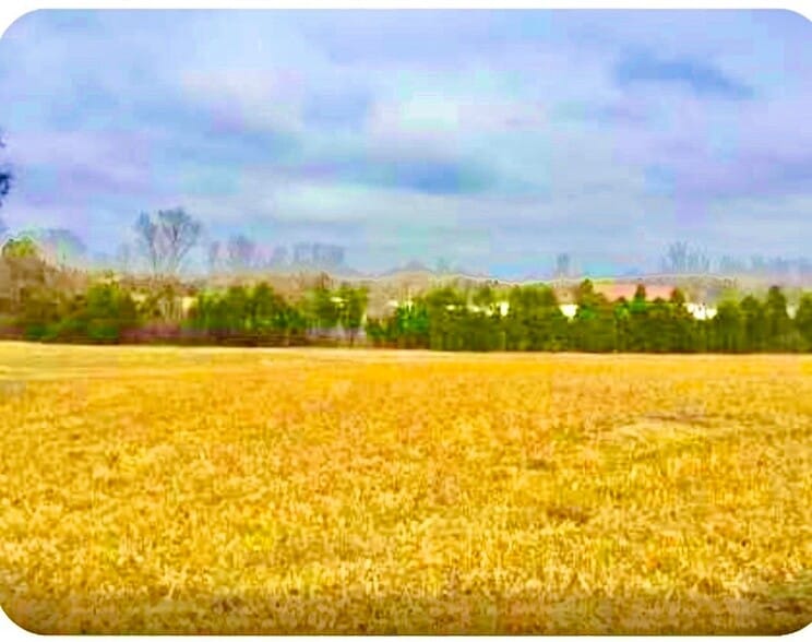 Primary Photo Of 0 N Old Mount Juliet Rd, Mount Juliet Land For Sale