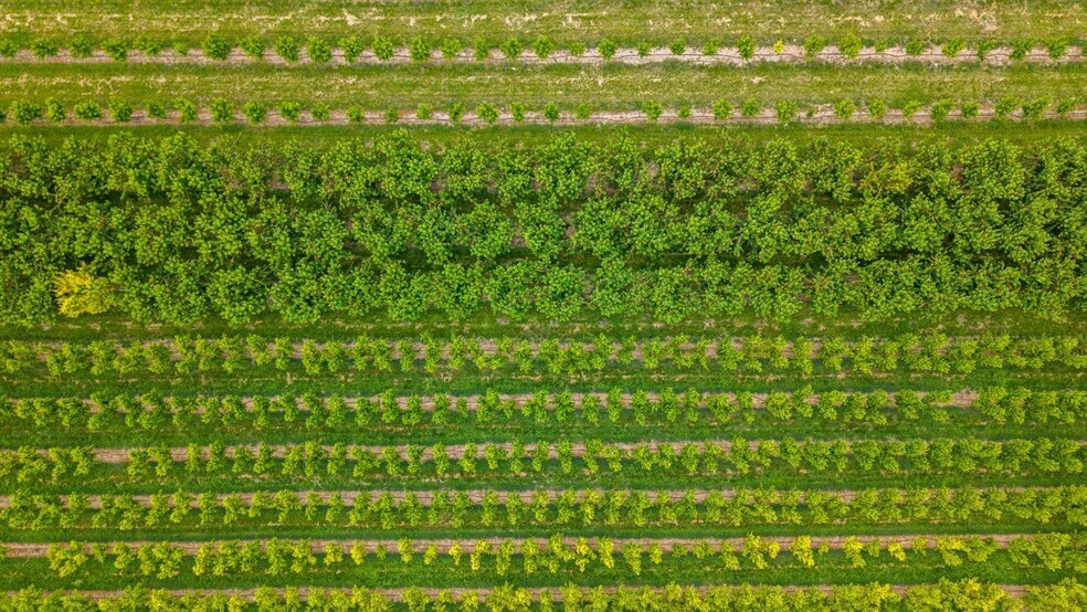 More Photos Of 20809 Nowhere Rd, Eckert Land For Sale