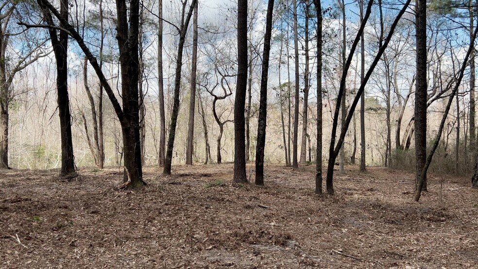 More Photos Of Victoria Blvd, Winnabow Land For Sale