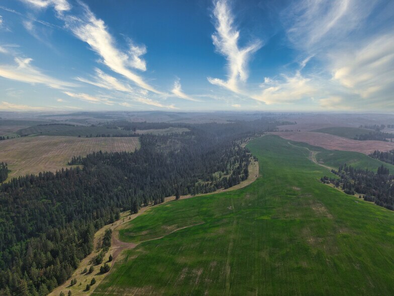 More Photos Of 45XXX Devore Rd, Davenport Land For Sale