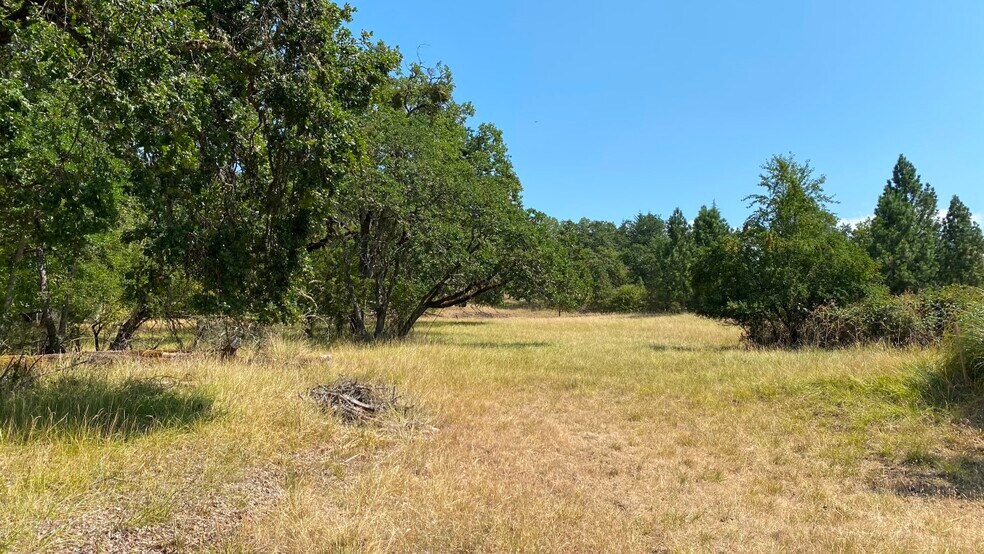 More Photos Of 1219 Junker, Roseburg Land For Sale