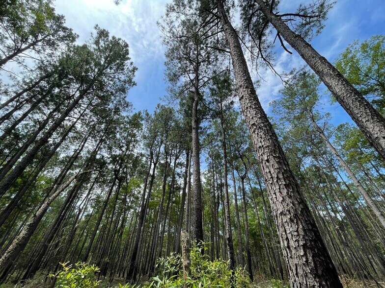 More Photos Of 229 Colbert Bridge Road, Windsor Land For Sale