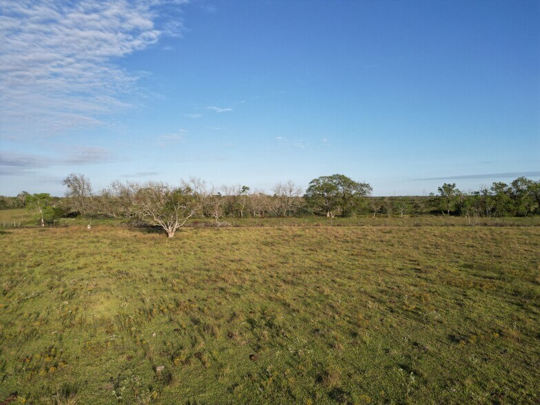 More Photos Of Land (County Rd 220 Angleton, TX 77515) | 197 acres, Angleton Land For Sale
