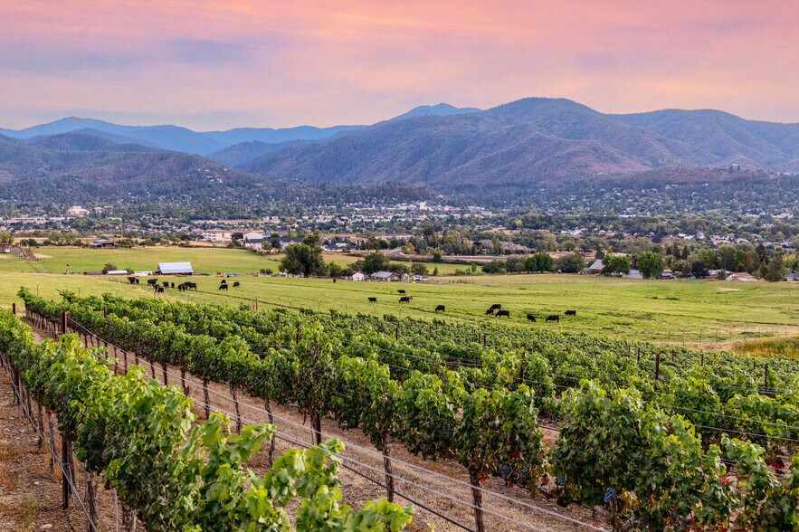 More Photos Of 1320 N Mountain Ave, Ashland Winery Vineyard For Sale