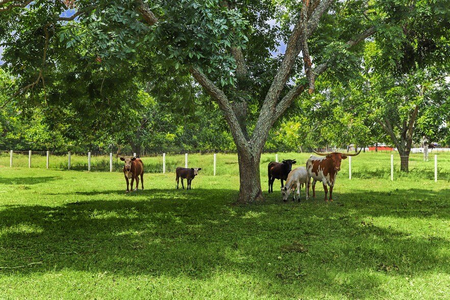 More Photos Of 4309 Bowser Rd, Fulshear Land For Sale