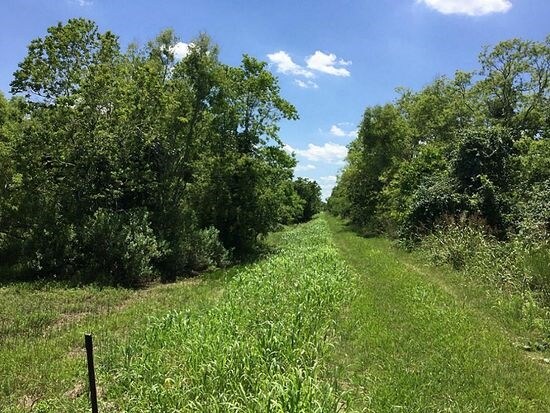 Primary Photo Of 0 Highway 35, Angleton Land For Sale
