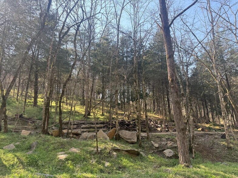 More Photos Of 940 Riley Creek Rd, Whitleyville Land For Sale