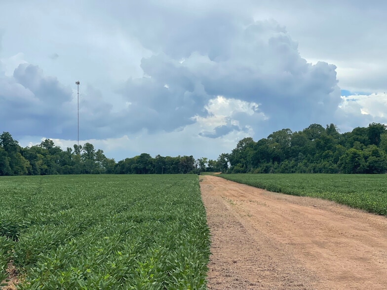 More Photos Of 71 Hwy, Colfax Land For Sale