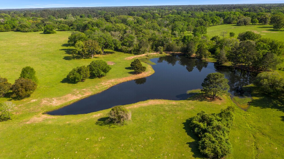 More Photos Of 26039 Magnolia Rd, Hockley Land For Sale